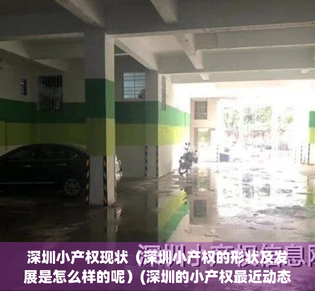 深圳小产权现状（深圳小产权的形状及发展是怎么样的呢）(深圳的小产权最近动态)