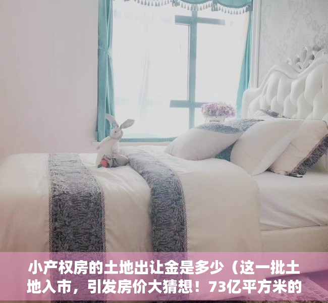 小产权房的土地出让金是多少（这一批土地入市，引发房价大猜想！73亿平方米的小产权房要“转正”了？）