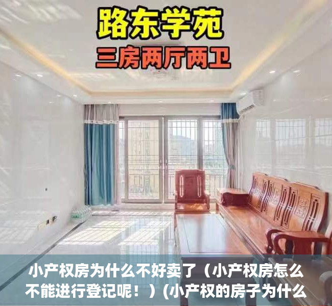 小产权房为什么不好卖了（小产权房怎么不能进行登记呢！）(小产权的房子为什么不好)