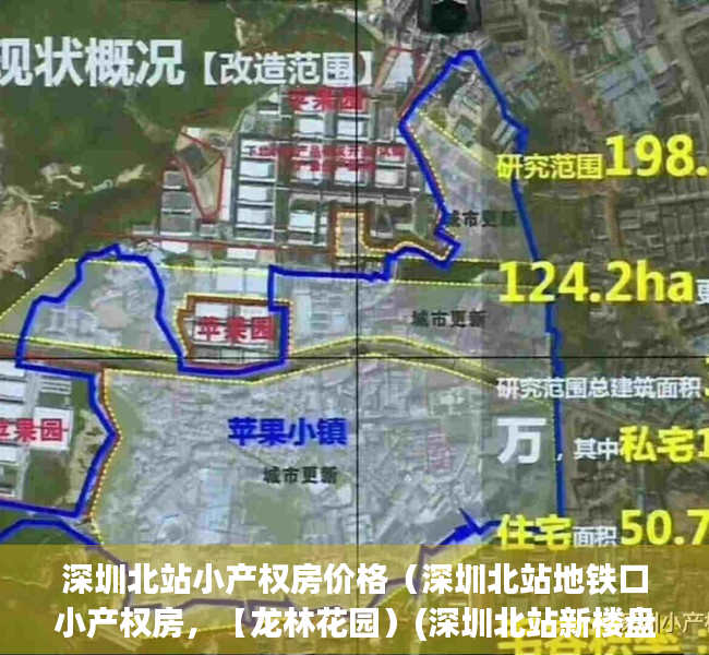 深圳北站小产权房价格（深圳北站地铁口小产权房，【龙林花园）(深圳北站新楼盘)