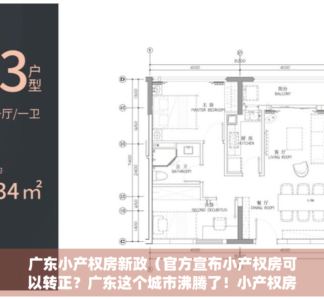 广东小产权房新政（官方宣布小产权房可以转正？广东这个城市沸腾了！小产权房业主也开始激动了…）