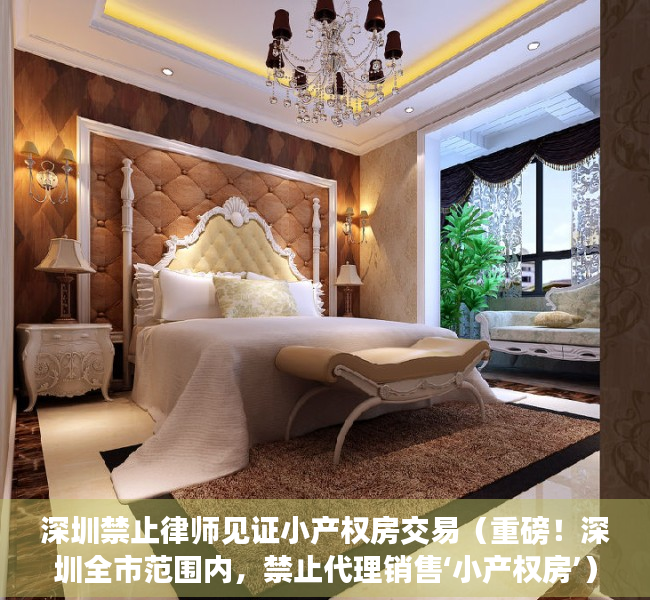 深圳禁止律师见证小产权房交易（重磅！深圳全市范围内，禁止代理销售‘小产权房’）