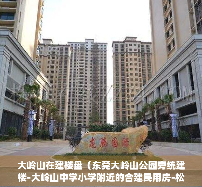 大岭山在建楼盘（东莞大岭山公园旁统建楼-大岭山中学小学附近的合建民用房-松岭御庭）