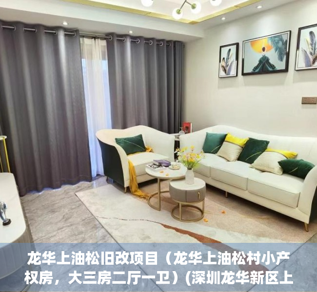 龙华上油松旧改项目（龙华上油松村小产权房，大三房二厅一卫）(深圳龙华新区上油松农民房价)