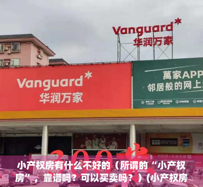 小产权房有什么不好的（所谓的“小产权房”，靠谱吗？可以买卖吗？）(小产权房到底好不好)