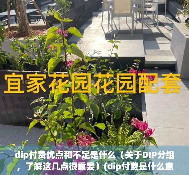 dip付费优点和不足是什么（关于DIP分组，了解这几点很重要）(dip付费是什么意思)