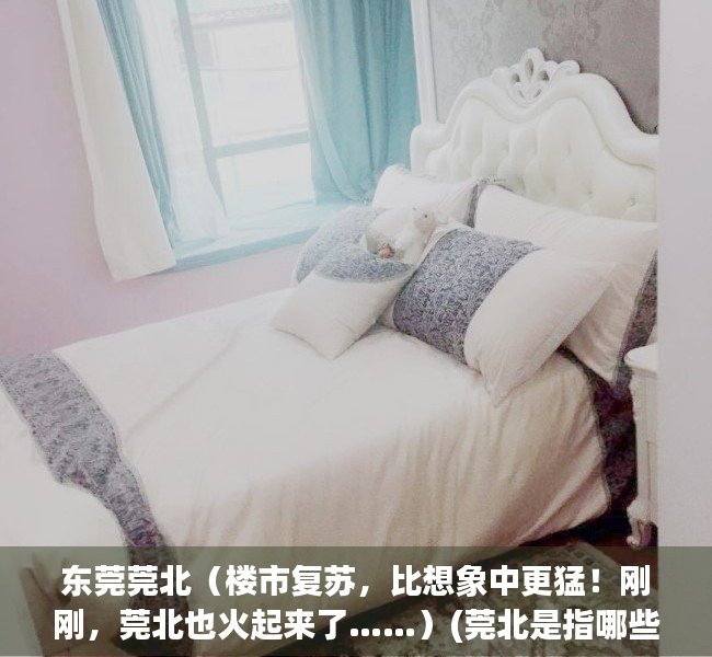 东莞莞北（楼市复苏，比想象中更猛！刚刚，莞北也火起来了……）(莞北是指哪些地方)