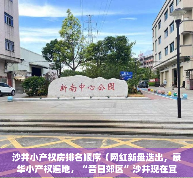 沙井小产权房排名顺序（网红新盘迭出，豪华小产权遍地，“昔日郊区”沙井现在宜居了吗？）
