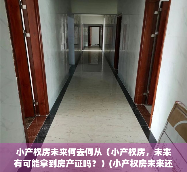 小产权房未来何去何从（小产权房，未来有可能拿到房产证吗？）(小产权房未来还有可能办理房产证吗)