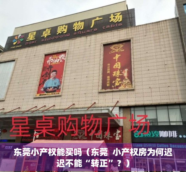 东莞小产权能买吗（东莞  小产权房为何迟迟不能“转正”？）