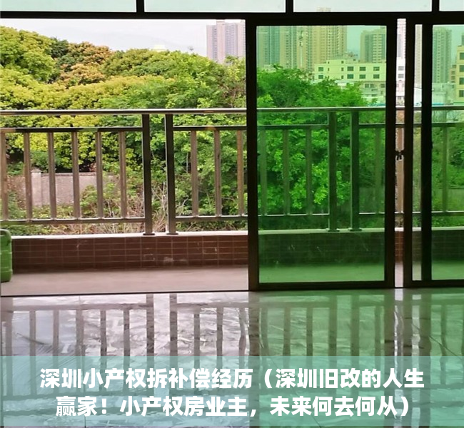深圳小产权拆补偿经历（深圳旧改的人生赢家！小产权房业主，未来何去何从）