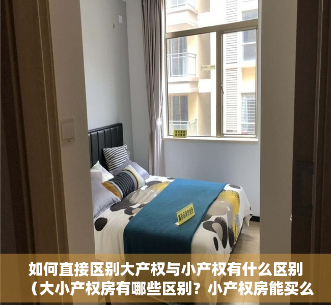 如何直接区别大产权与小产权有什么区别（大小产权房有哪些区别？小产权房能买么？）