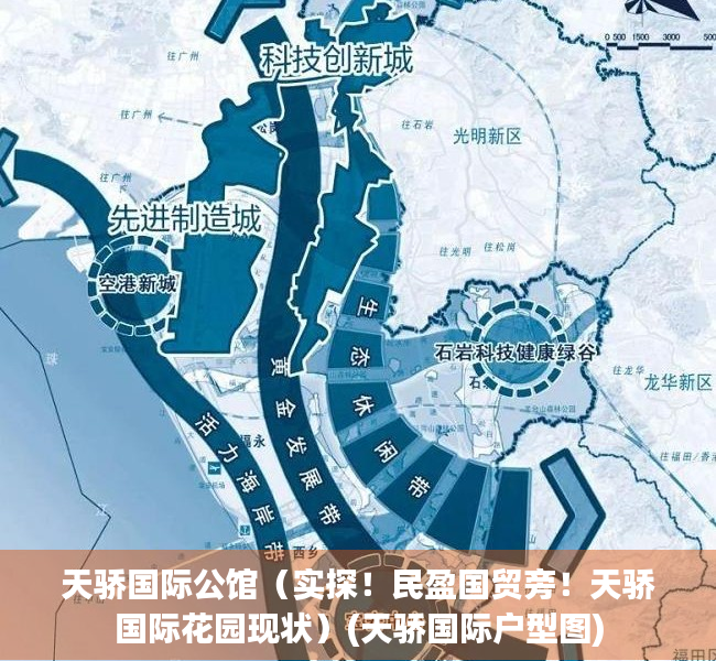 天骄国际公馆（实探！民盈国贸旁！天骄国际花园现状）(天骄国际户型图)
