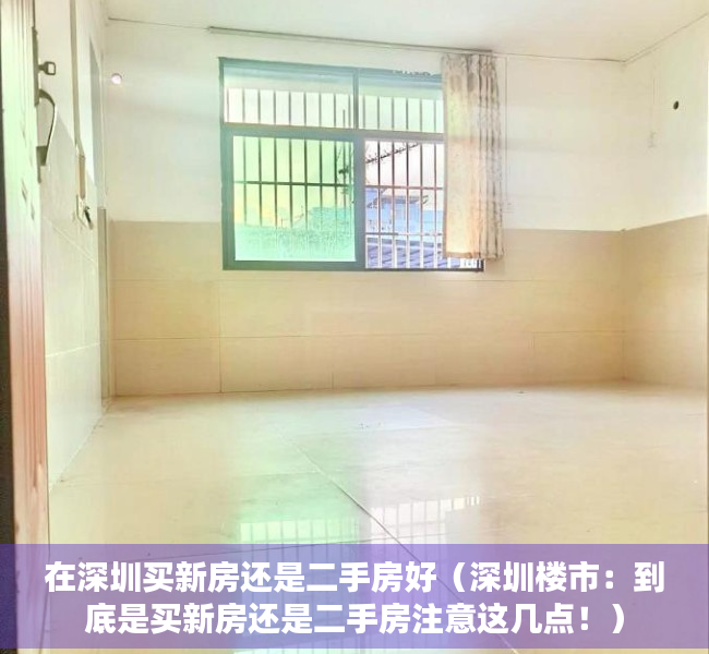 在深圳买新房还是二手房好（深圳楼市：到底是买新房还是二手房注意这几点！）