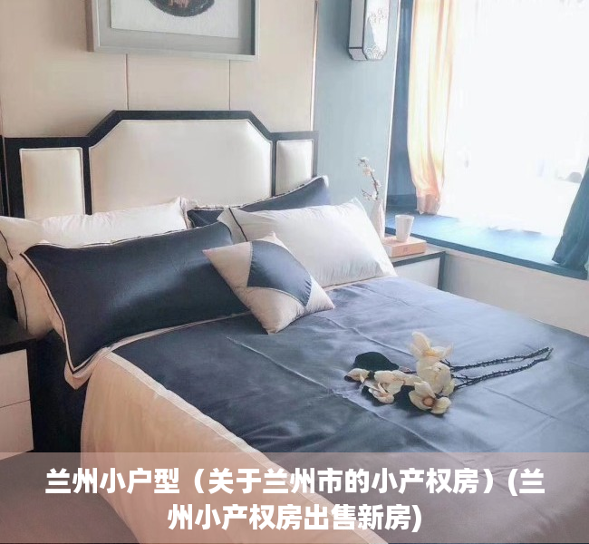 兰州小户型（关于兰州市的小产权房）(兰州小产权房出售新房)