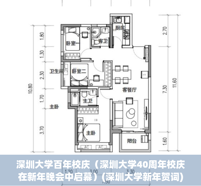 深圳大学百年校庆（深圳大学40周年校庆在新年晚会中启幕）(深圳大学新年贺词)