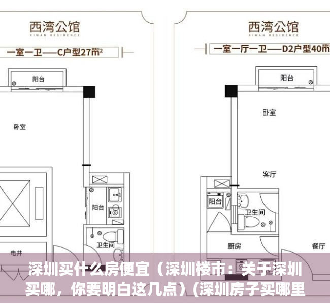 深圳买什么房便宜（深圳楼市：关于深圳买哪，你要明白这几点）(深圳房子买哪里)