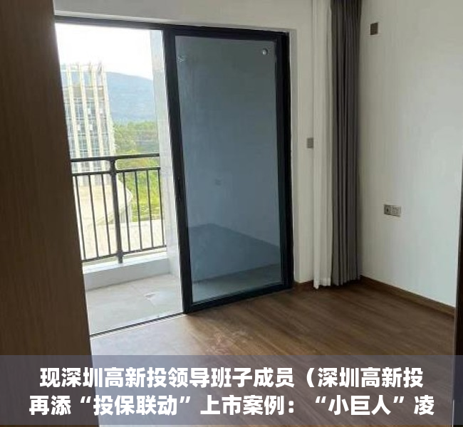 现深圳高新投领导班子成员（深圳高新投再添“投保联动”上市案例：“小巨人”凌雄科技港交所主板上市）