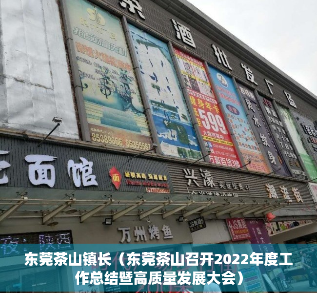 东莞茶山镇长（东莞茶山召开2022年度工作总结暨高质量发展大会）