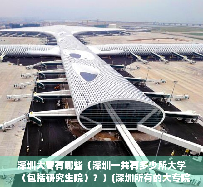 深圳大专有哪些（深圳一共有多少所大学（包括研究生院）？）(深圳所有的大专院校)