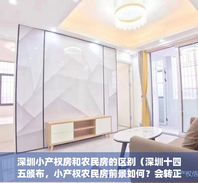 深圳小产权房和农民房的区别（深圳十四五颁布，小产权农民房前景如何？会转正还是会强制征收？）