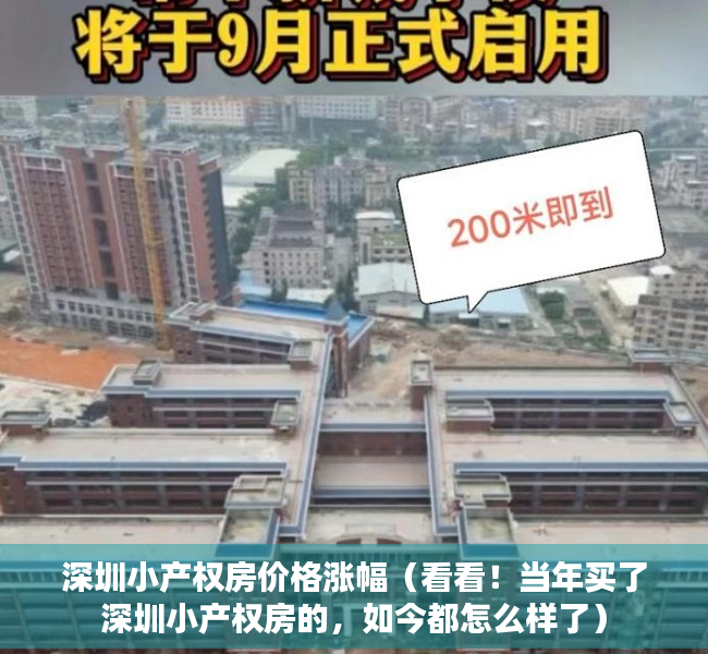 深圳小产权房价格涨幅（看看！当年买了深圳小产权房的，如今都怎么样了）