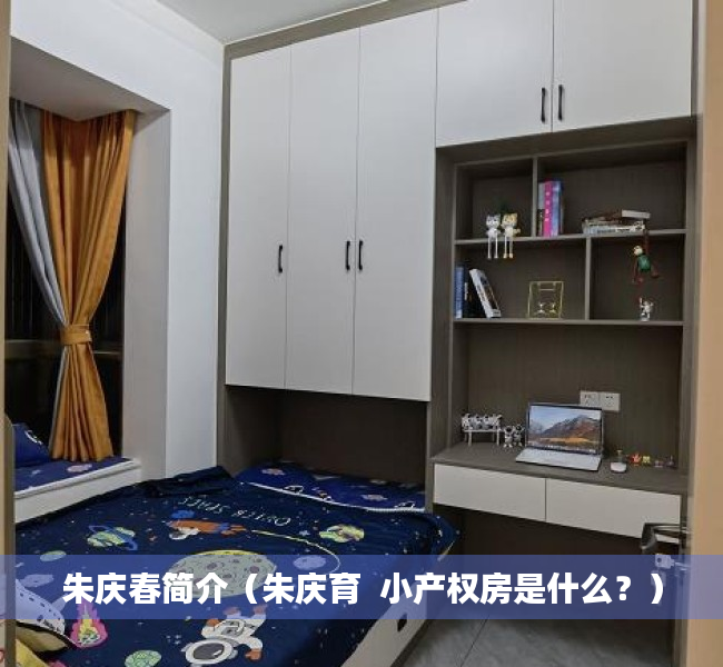 朱庆春简介（朱庆育  小产权房是什么？）