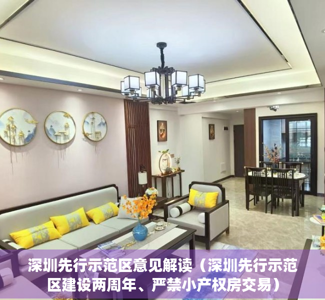 深圳先行示范区意见解读（深圳先行示范区建设两周年、严禁小产权房交易）