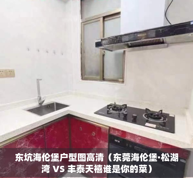 东坑海伦堡户型图高清（东莞海伦堡·松湖湾 VS 丰泰天禧谁是你的菜）
