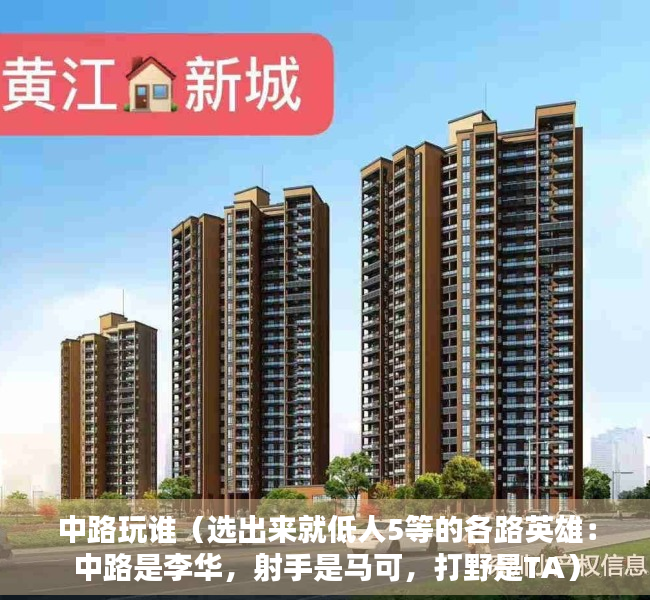 中路玩谁（选出来就低人5等的各路英雄：中路是李华，射手是马可，打野是TA）