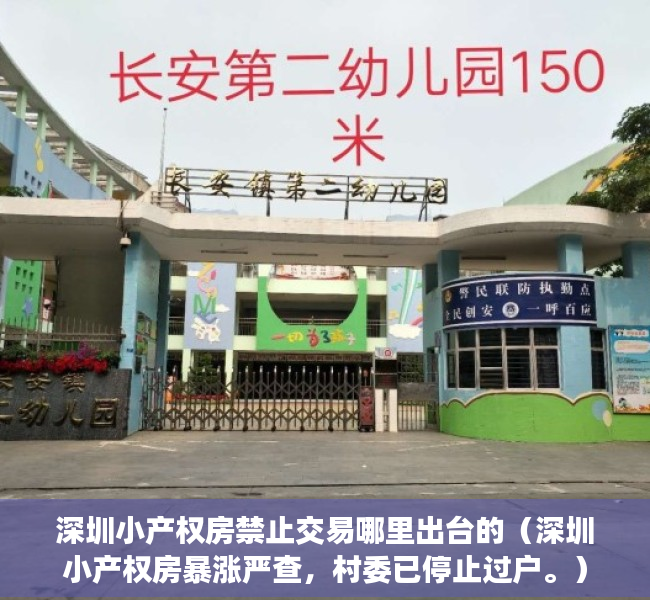 深圳小产权房禁止交易哪里出台的（深圳小产权房暴涨严查，村委已停止过户。）