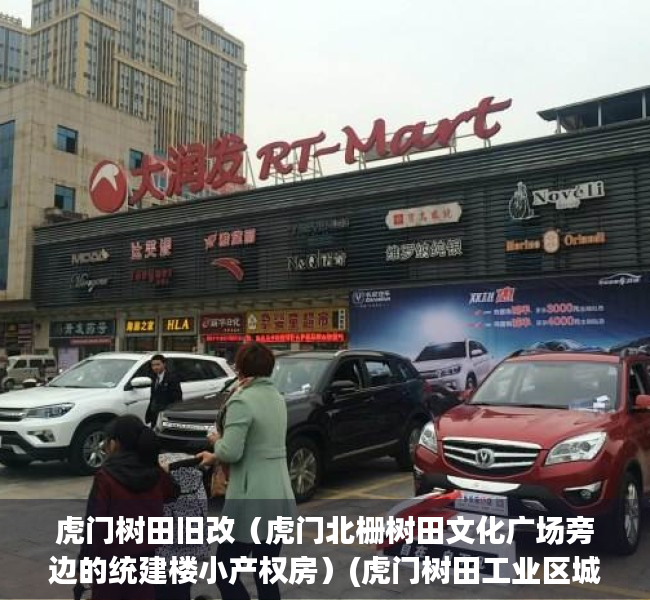 虎门树田旧改（虎门北栅树田文化广场旁边的统建楼小产权房）(虎门树田工业区城市更新)
