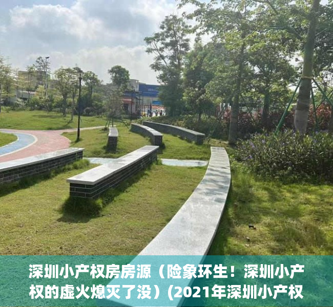深圳小产权房房源（险象环生！深圳小产权的虚火熄灭了没）(2021年深圳小产权房政策解读)