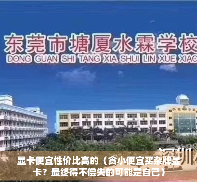 显卡便宜性价比高的（贪小便宜买杂牌显卡？最终得不偿失的可能是自己）