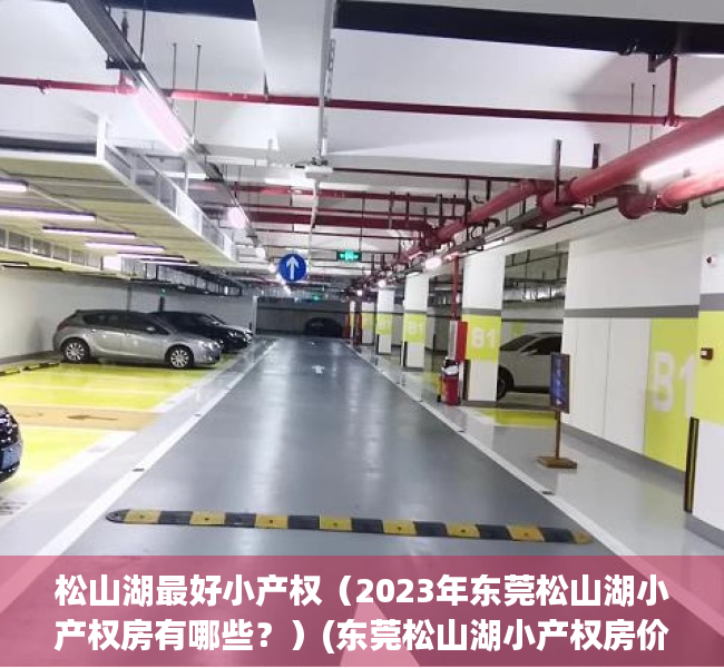松山湖最好小产权（2023年东莞松山湖小产权房有哪些？）(东莞松山湖小产权房价2020最新价格)