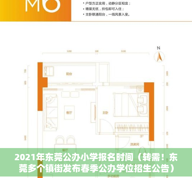 2021年东莞公办小学报名时间（转需！东莞多个镇街发布春季公办学位招生公告）