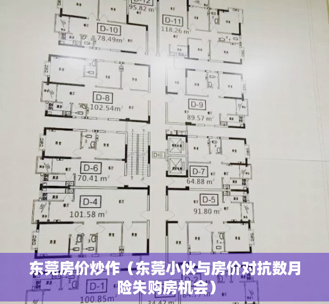 东莞房价炒作（东莞小伙与房价对抗数月 险失购房机会）
