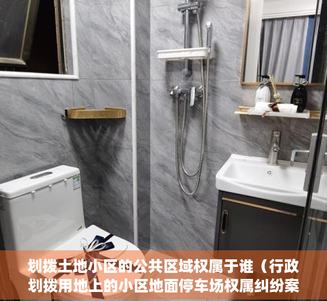 划拨土地小区的公共区域权属于谁（行政划拨用地上的小区地面停车场权属纠纷案例解析——《物业管理纠纷的裁判规则与实务总结》系列（1））