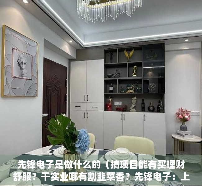 先锋电子是做什么的（搞项目能有买理财舒服？干实业哪有割韭菜香？先锋电子：上市后只想躺平，只想套现，舒服！）