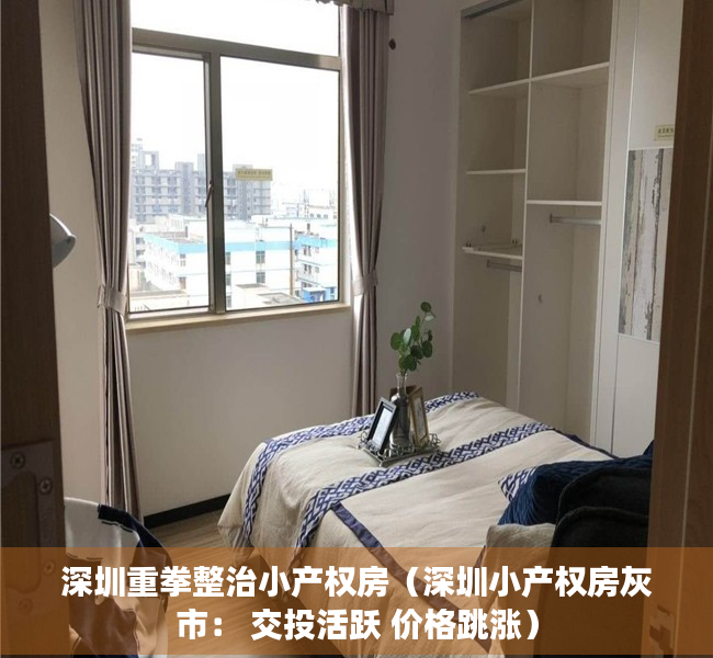 深圳重拳整治小产权房（深圳小产权房灰市： 交投活跃 价格跳涨）