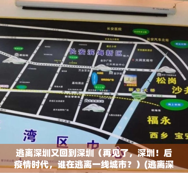 逃离深圳又回到深圳（再见了，深圳！后疫情时代，谁在逃离一线城市？）(逃离深圳一年以后)
