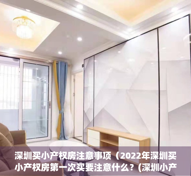 深圳买小产权房注意事项（2022年深圳买小产权房第一次买要注意什么？(深圳小产权房可以买吗有什么技巧)）