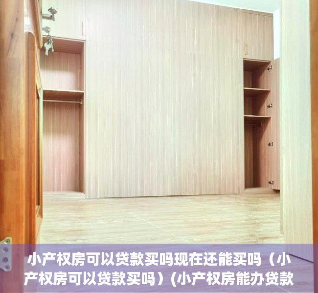 小产权房可以贷款买吗现在还能买吗（小产权房可以贷款买吗）(小产权房能办贷款吗?)