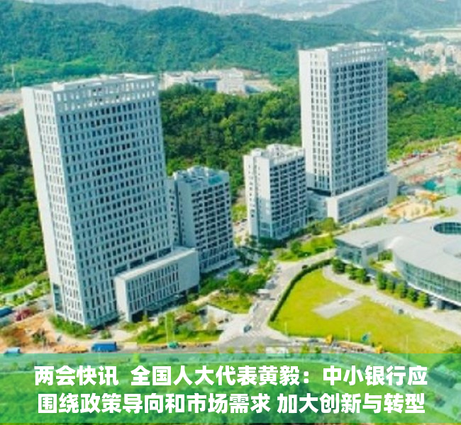 两会快讯  全国人大代表黄毅：中小银行应围绕政策导向和市场需求 加大创新与转型力度