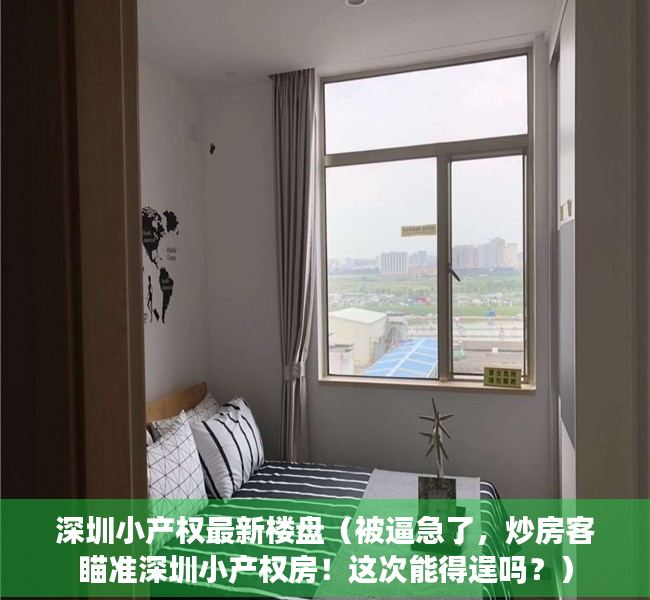 深圳小产权最新楼盘（被逼急了，炒房客瞄准深圳小产权房！这次能得逞吗？）