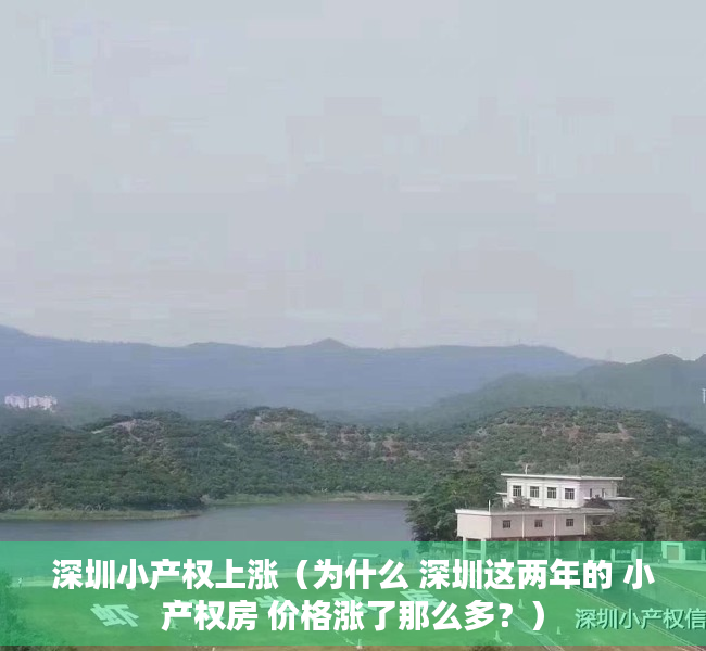 深圳小产权上涨（为什么 深圳这两年的 小产权房 价格涨了那么多？）