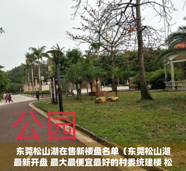 东莞松山湖在售新楼盘名单（东莞松山湖最新开盘 最大最便宜最好的村委统建楼 松山湖大朗小产权可靠吗？）