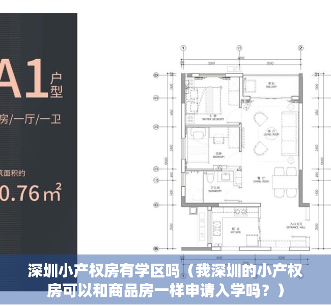 深圳小产权房有学区吗（我深圳的小产权房可以和商品房一样申请入学吗？）