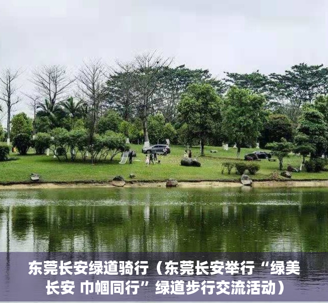 东莞长安绿道骑行（东莞长安举行“绿美长安 巾帼同行”绿道步行交流活动）