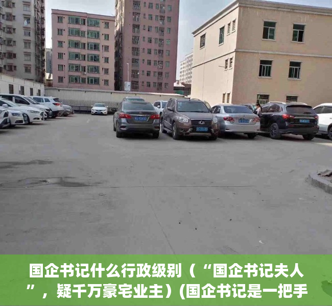 国企书记什么行政级别（“国企书记夫人”，疑千万豪宅业主）(国企书记是一把手吗)